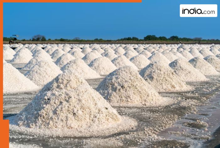 This neighbour of India is facing severe salt crisis, Modi govt extends support by…, price of one of of salt is…, the country is…
