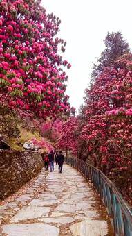 Nainital Overcrowded? Try These 5 Relaxing Alternatives For Your Vacation!