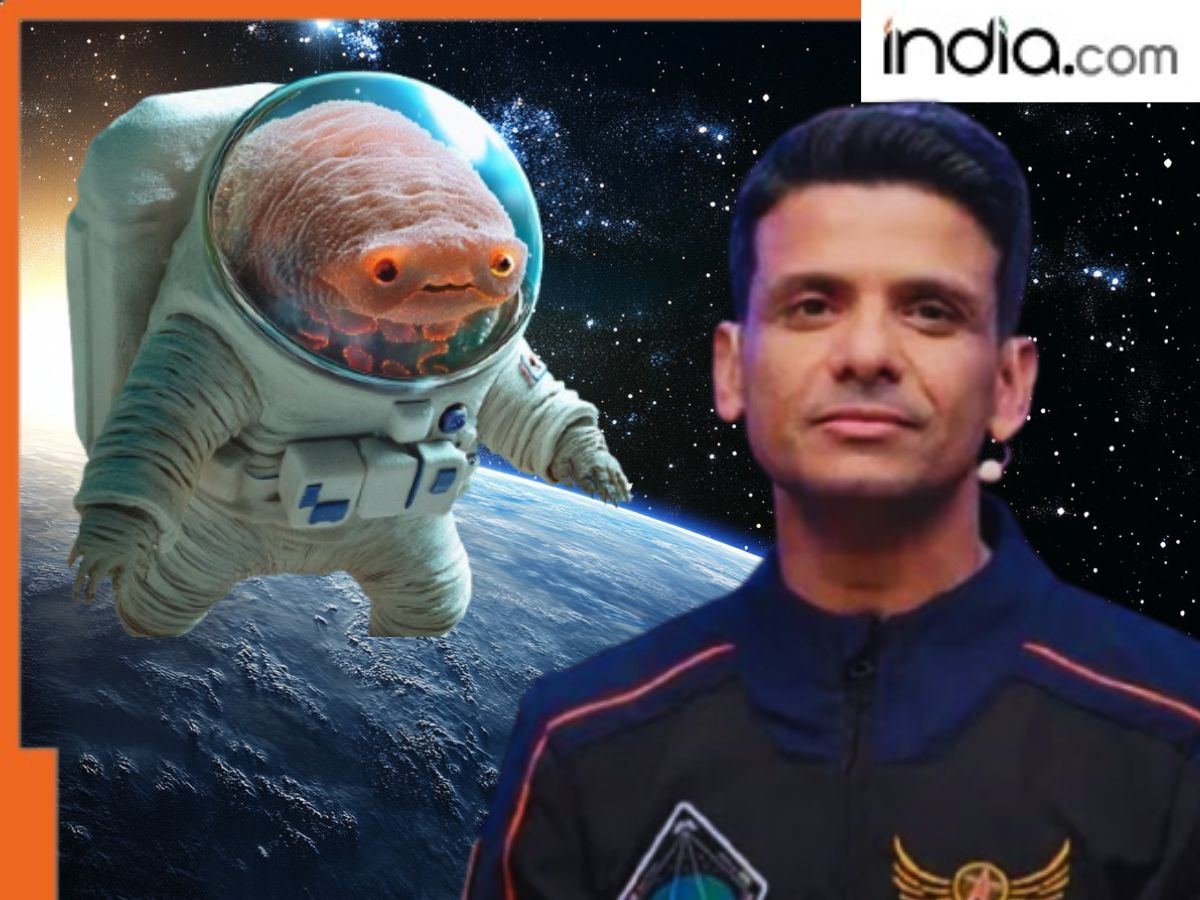 When will India’s Subhanshu Shukla return from the ISS? What happens to astronauts after they come back to earth?