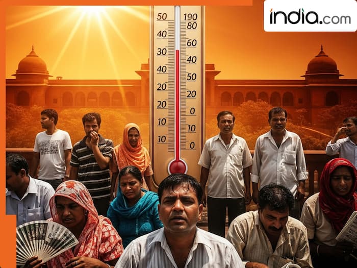 Delhi Heatwave Record Breaking Temperature (1)