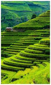 नैनीताल नहीं, इस बार घूमिये द्वाराहाट- बेहद सुंदर है ये हिल स्टेशन