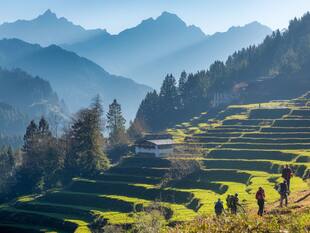 Explore The Green Side Of Almora With These Nature-Perfect Getaways