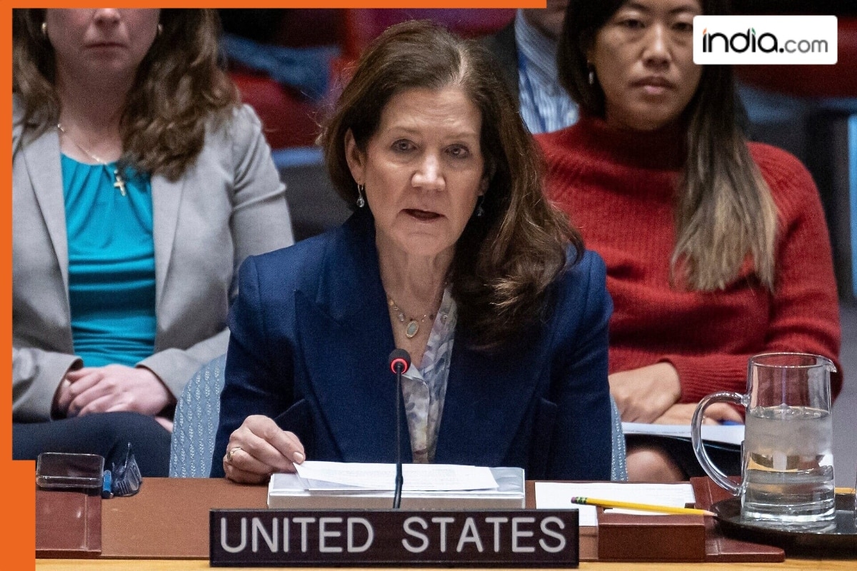 ‘Israel guilty of spreading terror and destruction in…’: US claim at UNSC shocks everyone, video goes viral