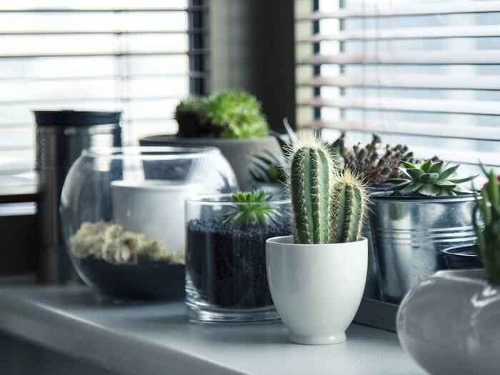 Vastu Dosh for money  1