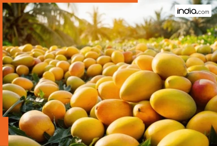 India sends mangoes to these countries, the country in top is…, not US, its a Muslim nation, name is…