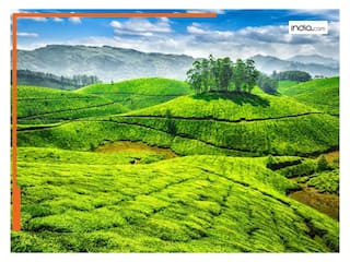 आईआरसीटीसी ने पेश किया ऊटी टूर पैकेज, किराया सिर्फ 9 हजार; डिटेल जानिये