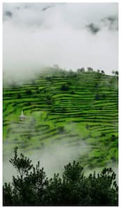 नैनीताल से 2 घंटे की दूरी पर है ये हिल स्टेशन, सुंदरता में मसूरी भी फेल