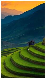 3 हिल स्टेशन जिनको देखने के लिए दुनियाभर से आते हैं टूरिस्ट