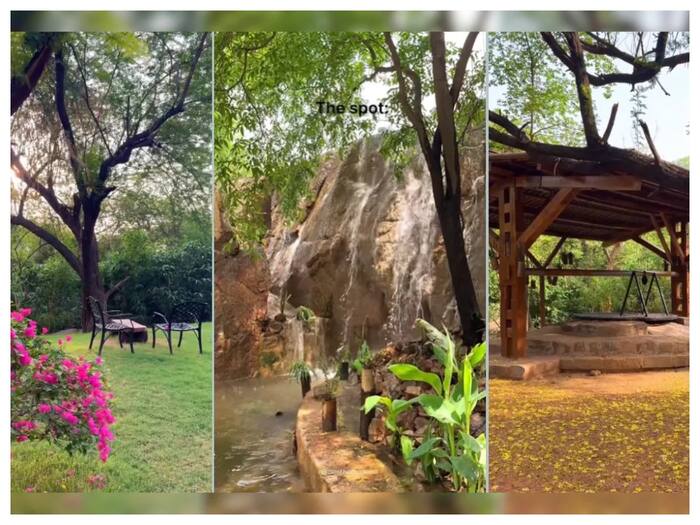 Sanjay van 1