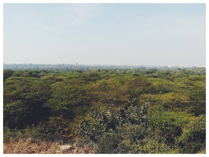 Sanjay van 2