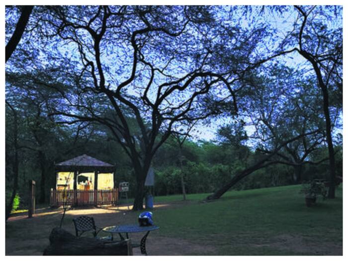 Sanjay van 3
