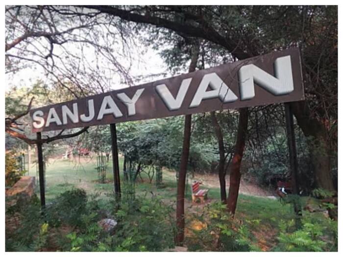 Sanjay van