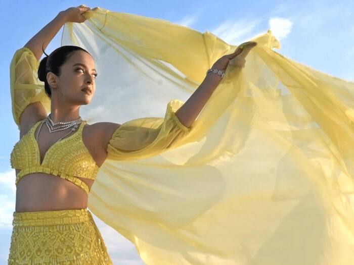 Surveen chawla abused