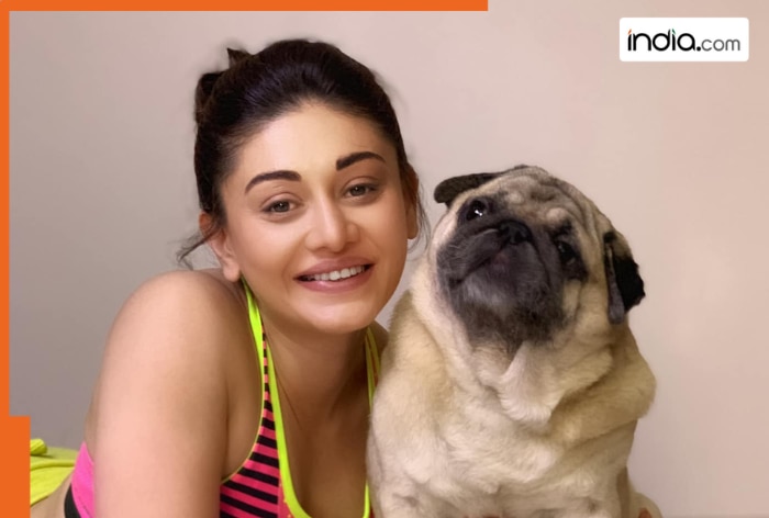 Days after Shefali Jariwala’s death, her dog Simba’s health worsened? Parag Tyagi reacts, ‘Some cruel people…’