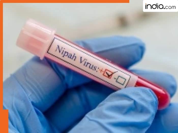 Health alert in West Bengal as 2 suspected cases of Nipah virus identified in state