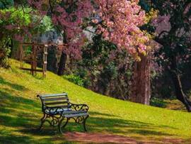 Can A Trip To Shillong Heal Your Mind? These 7 Peaceful Places Say YES