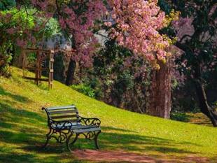 Can A Trip To Shillong Heal Your Mind? These 7 Peaceful Places Say YES