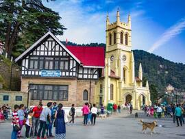 No Phone, No GPS, Just Me And Shimla—What Happened Next Left Me Speechless