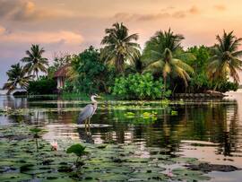 This Backwater Town Has 10 Secrets Even Locals Don’t Know – #7 Will Shock You