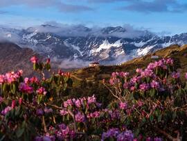 Chopta On A Shoestring: How I Lived Like A Mountain Royal Without Going Broke