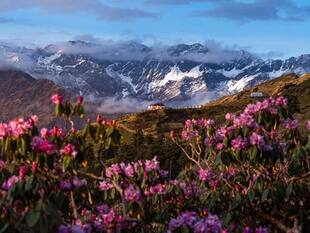 Chopta On A Shoestring: How I Lived Like A Mountain Royal Without Going Broke