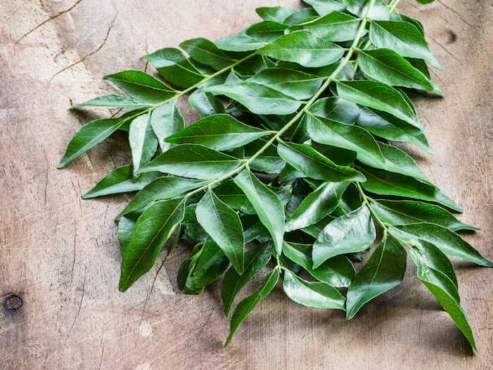 Curry leaves 11