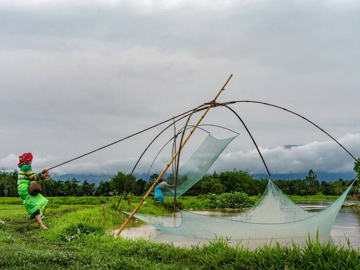 Manipur  9
