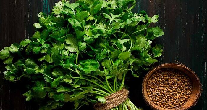 How to reduce weight fast