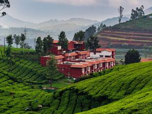 Going Solo In Ooty? 8 Life-Changing Things You’ll Only Discover Alone