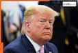 Trump again rakes up Operation Sindoor, India-Pakistan conflict with bizarre claim, says 