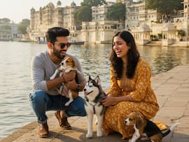 Why Are Pet Lovers Calling Udaipur The ‘Paw-ris’ Of India? These 5 Places Explain It All