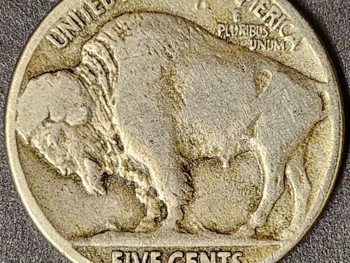 Buffalo Nickel