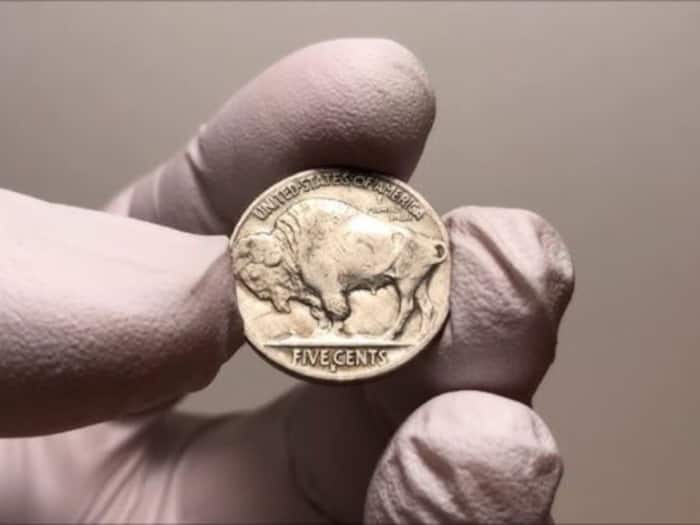 Buffalo Nickel