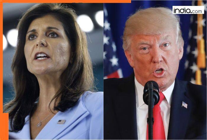 Trump Tariffs: Nikki Haley bats for India as 'prized partner', faces Republican flak; urges New Delhi to work with Trump to...