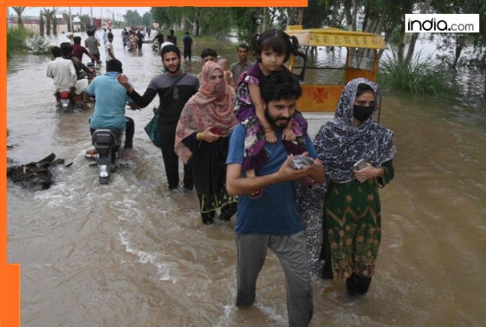 Indus Water Treaty: Did India cause Pakistan floods? Former Pak envoy accuses New Delhi of ‘weaponizing’ water, claims…