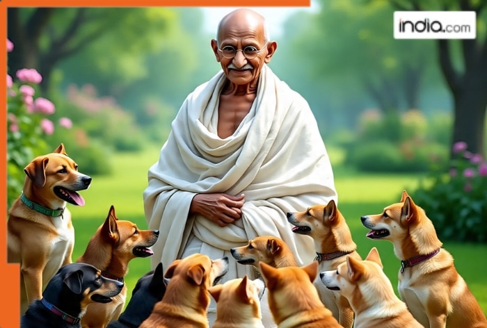 Stray dogs debate: Why Mahatma Gandhi approved the killing of 60 dogs in 1926, reason was…