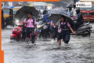Mumbai Rains: Schools, colleges, offices, banks, OPEN or CLOSED today, August 19? Details here