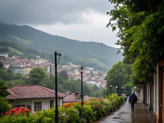 UP most rainfall district