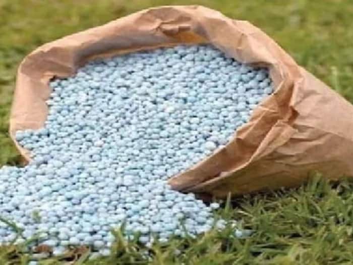 Fertilizer and Seed Store