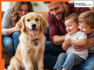 कुत्तों की वो 5 ब्रीड, जो मानी जाती हैं सबसे शरीफ, बच्चों से करते हैं इंसानों जैसा प्यार