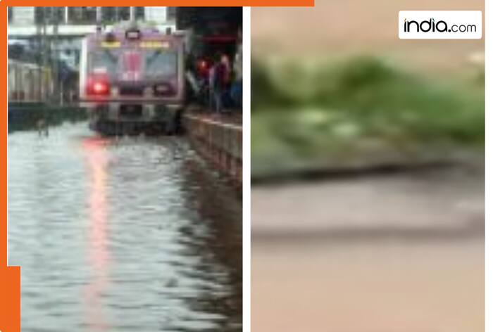 Mumbai local train tracks under water, waterlogging between Ghatkopar and Dadar, central railway, western and harbour line delayed by 40 minutes