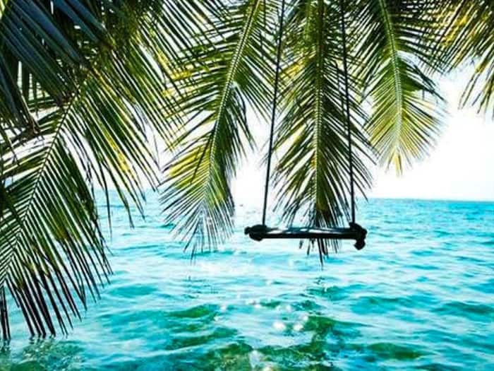 Dindi tourism