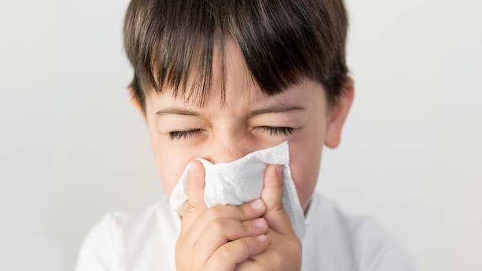 Remedies for seasonal diseases