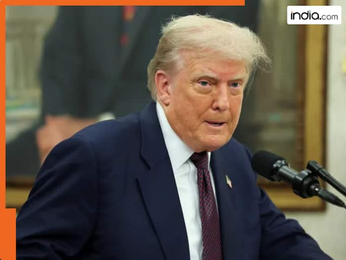 'Trump's threats will not have any impact on India': Asian energy expert makes big statement on US tariffs, says India will only...