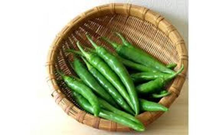 Green chilli in diabetes