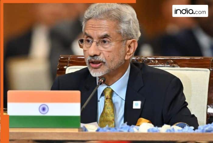 'Don't buy if you don't like it': Jaishankar draws the line on India-US trade deal, says 'India has certain red-lines'