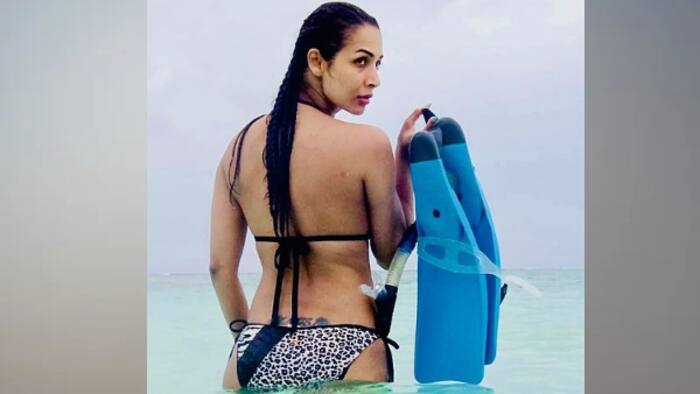 Malaikaarora1 1655634773