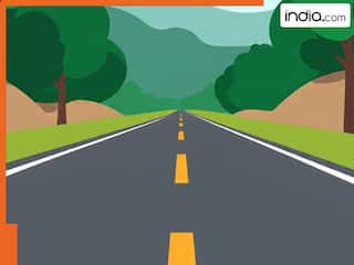 सड़क पर बनी इन लाइन्स का क्या होता मतलब? जानिए पूरी जानकारी