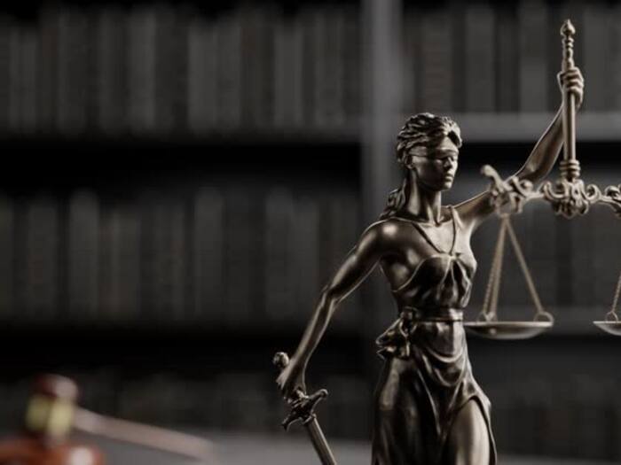 Judiciary system