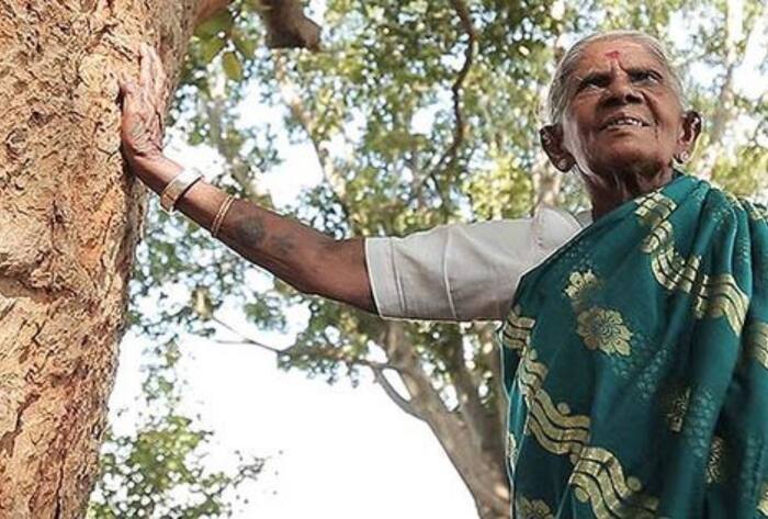 Saalumarada Thimmakka planted more than 1 lakh tree in her lifetime achievements in hindi